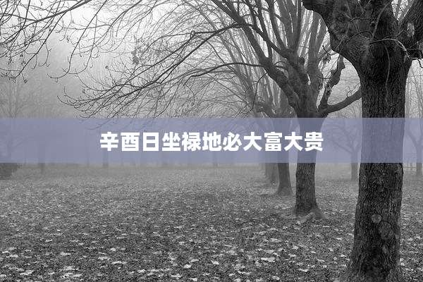 辛酉日坐禄地必大富大贵