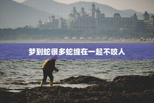 梦到蛇很多蛇缠在一起不咬人