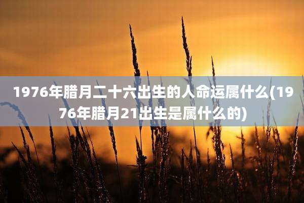 1976年腊月二十六出生的人命运属什么(1976年腊月21出生是属什么的)
