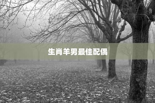 生肖羊男最佳配偶
