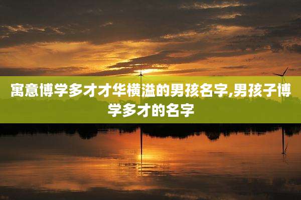 寓意博学多才才华横溢的男孩名字,男孩子博学多才的名字