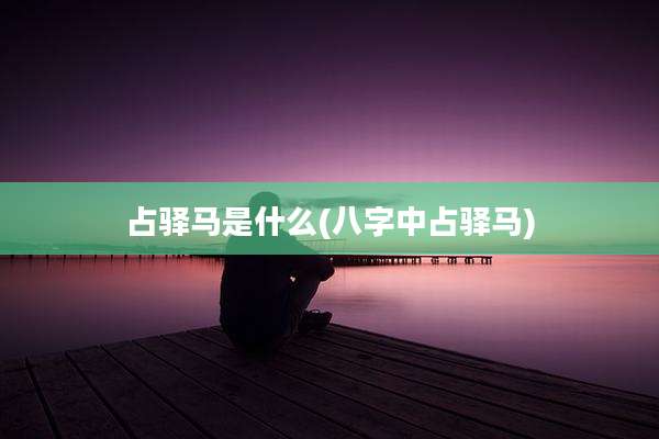 占驿马是什么(八字中占驿马)