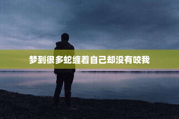 梦到很多蛇缠着自己却没有咬我