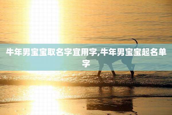 牛年男宝宝取名字宜用字,牛年男宝宝起名单字