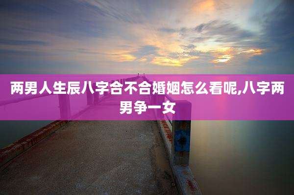 两男人生辰八字合不合婚姻怎么看呢,八字两男争一女
