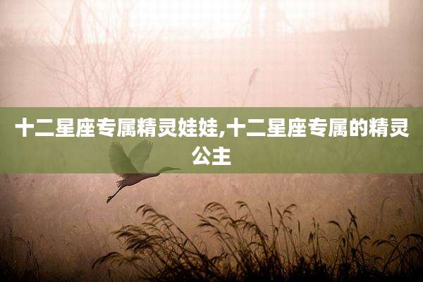 十二星座专属精灵娃娃,十二星座专属的精灵公主