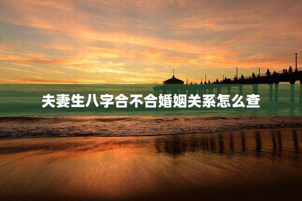 夫妻生八字合不合婚姻关系怎么查
