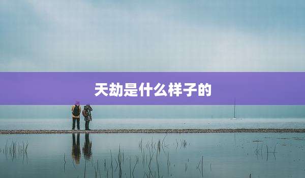天劫是什么样子的