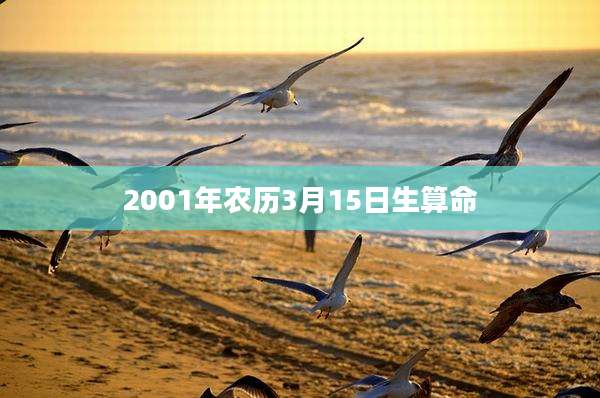 2001年农历3月15日生算命