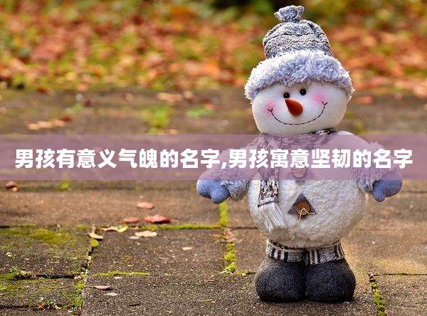 男孩有意义气魄的名字,男孩寓意坚韧的名字