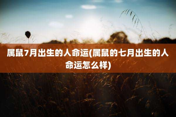 属鼠7月出生的人命运(属鼠的七月出生的人命运怎么样)