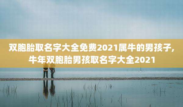 双胞胎取名字大全免费2021属牛的男孩子,牛年双胞胎男孩取名字大全2021
