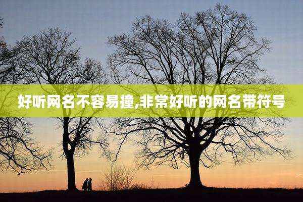 好听网名不容易撞,非常好听的网名带符号