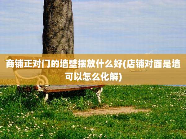 商铺正对门的墙壁摆放什么好(店铺对面是墙可以怎么化解)
