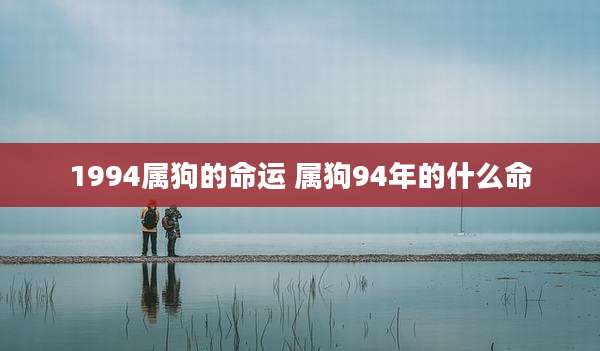 1994属狗的命运 属狗94年的什么命