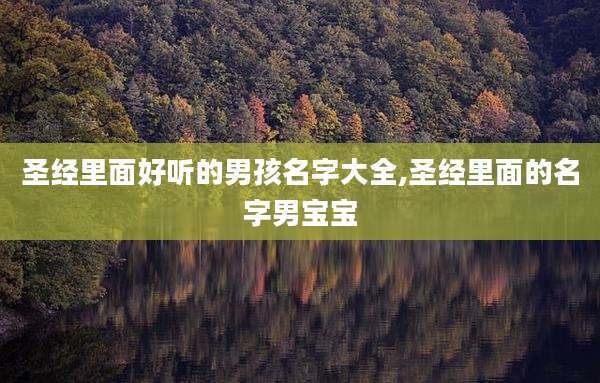 圣经里面好听的男孩名字大全,圣经里面的名字男宝宝