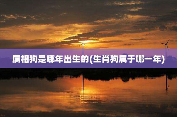 属相狗是哪年出生的(生肖狗属于哪一年)