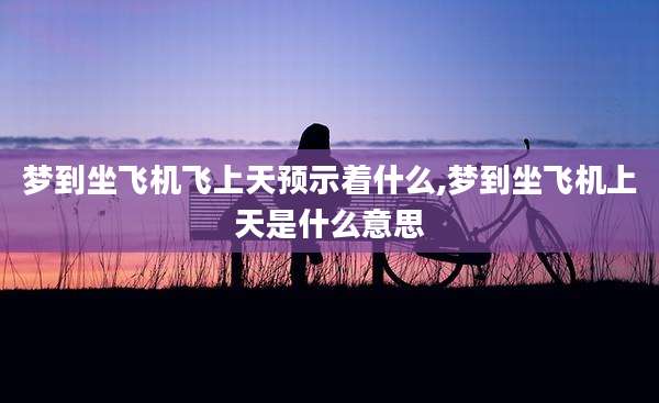 梦到坐飞机飞上天预示着什么,梦到坐飞机上天是什么意思