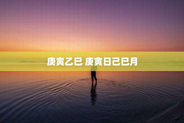 庚寅乙巳 庚寅日己巳月