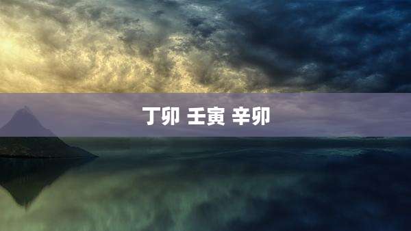 丁卯 壬寅 辛卯