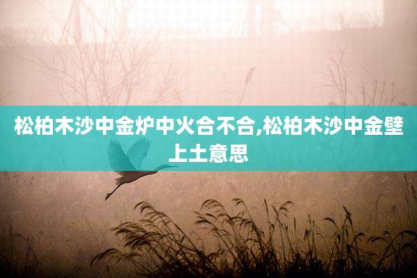 松柏木沙中金炉中火合不合,松柏木沙中金壁上土意思