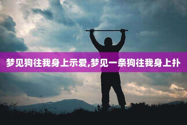 梦见狗往我身上示爱,梦见一条狗往我身上扑