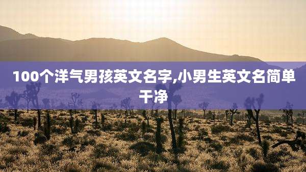100个洋气男孩英文名字,小男生英文名简单干净
