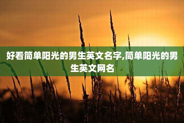 好看简单阳光的男生英文名字,简单阳光的男生英文网名