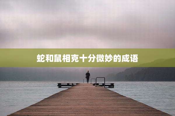 蛇和鼠相克十分微妙的成语