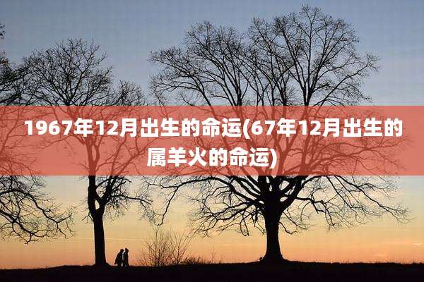 1967年12月出生的命运(67年12月出生的属羊火的命运)