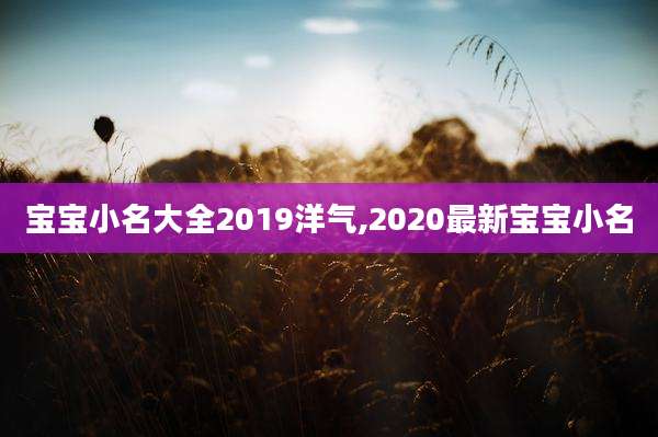 宝宝小名大全2019洋气,2020最新宝宝小名