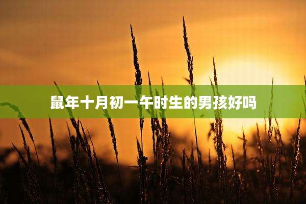 鼠年十月初一午时生的男孩好吗