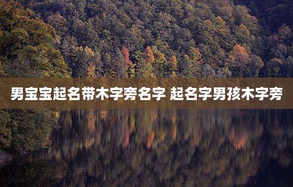 男宝宝起名带木字旁名字 起名字男孩木字旁
