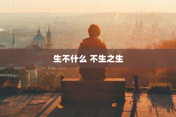 生不什么 不生之生