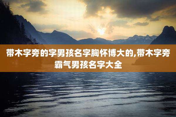 带木字旁的字男孩名字胸怀博大的,带木字旁霸气男孩名字大全