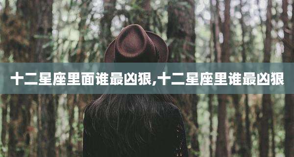 十二星座里面谁最凶狠,十二星座里谁最凶狠