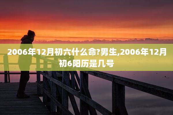 2006年12月初六什么命?男生,2006年12月初6阳历是几号