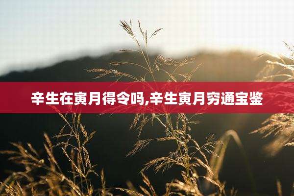 辛生在寅月得令吗,辛生寅月穷通宝鉴
