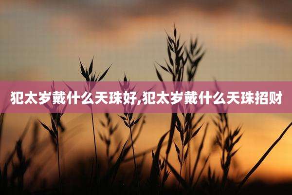 犯太岁戴什么天珠好,犯太岁戴什么天珠招财