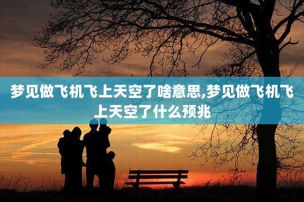 梦见做飞机飞上天空了啥意思,梦见做飞机飞上天空了什么预兆