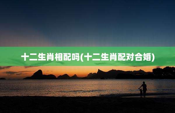 十二生肖相配吗(十二生肖配对合婚)