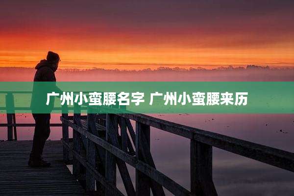 广州小蛮腰名字 广州小蛮腰来历