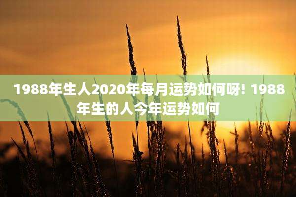 1988年生人2020年每月运势如何呀! 1988年生的人今年运势如何