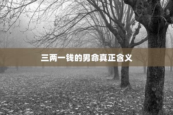 三两一钱的男命真正含义