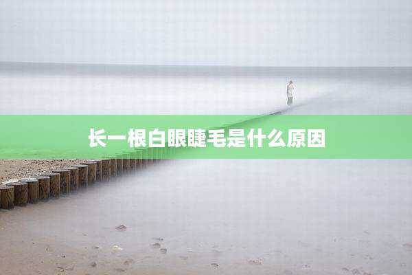 长一根白眼睫毛是什么原因
