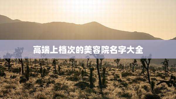 高端上档次的美容院名字大全