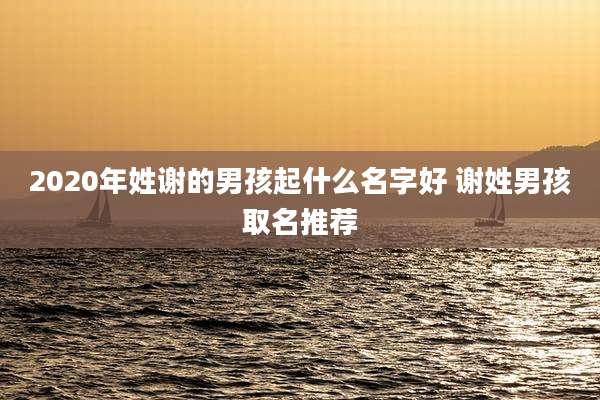 2020年姓谢的男孩起什么名字好 谢姓男孩取名推荐