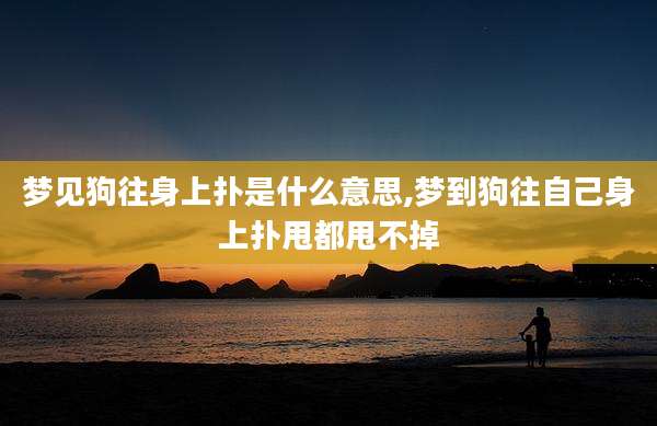 梦见狗往身上扑是什么意思,梦到狗往自己身上扑甩都甩不掉