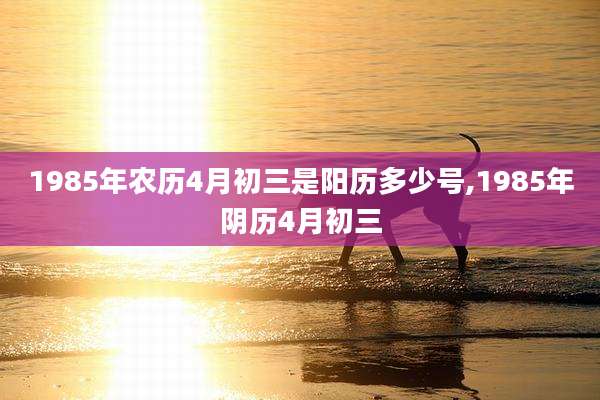 1985年农历4月初三是阳历多少号,1985年阴历4月初三