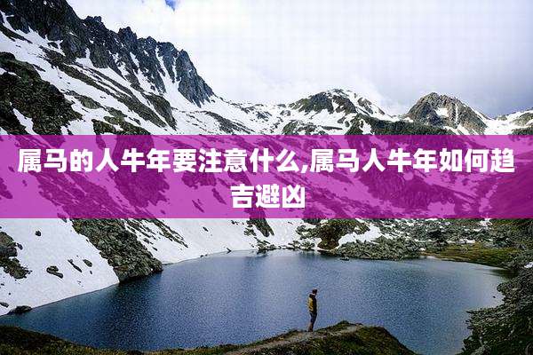 属马的人牛年要注意什么,属马人牛年如何趋吉避凶